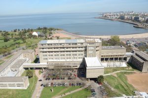 De la cáscara de arroz al aserrín de eucalipto: La apuesta de la UdelaR a biorefinerías en Ingeniería de Muestra 2025