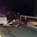 Seis personas, entre ellas dos niños, resultaron heridas en dos accidentes con caballos sueltos en menos de una hora