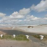 Vecinos y biotecnología se unen para limpiar la cañada de Punta Colorada afectada por contaminación Vecinos y biotecnología se unen para limpiar la cañada de Punta Colorada afectada por contaminación