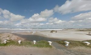 Vecinos y biotecnología se unen para limpiar la cañada de Punta Colorada afectada por contaminación