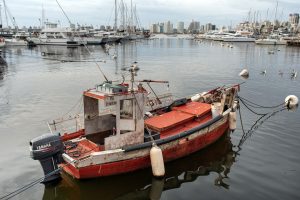 ¿Volvió el conflicto en la pesca?
