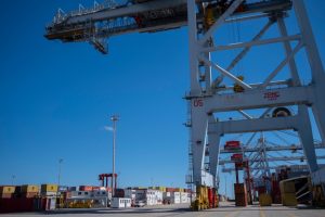 Sigue paralizada la actividad en la Terminal Cuenca del Plata del Puerto de Montevideo