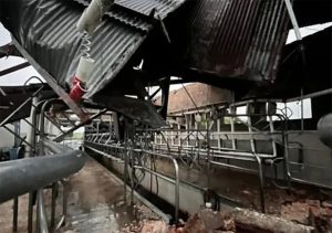 Fuertes vientos causaron destrozos en Nueva Palmira durante el temporal del fin de semana