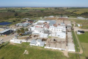 FOICA advierte por desempleo en el sector y pide al gobierno diálogo sobre la importación de carne