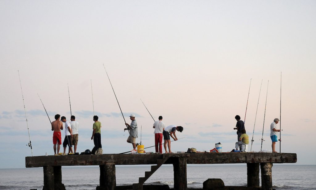 Oceanógrafo: “Tenemos pesca ilegal constante y diaria en la frontera con Brasil”