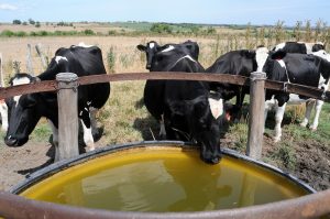 Inumet advierte que Uruguay vivirá un fenómeno de Niña débil con impacto desigual en el territorio nacional 