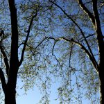 Pronóstico del tiempo de José María Rodríguez