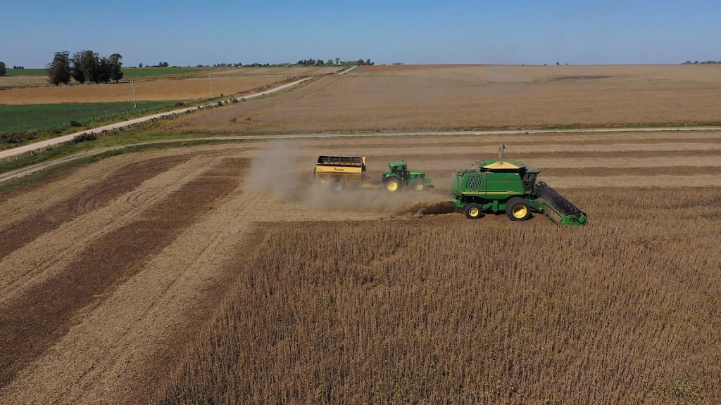 Sube el precio de la soja y se estabiliza el precio del ganado