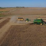 Sube el precio de la soja y se estabiliza el precio del ganado