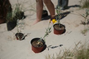 Pronóstico del tiempo de José María Rodríguez