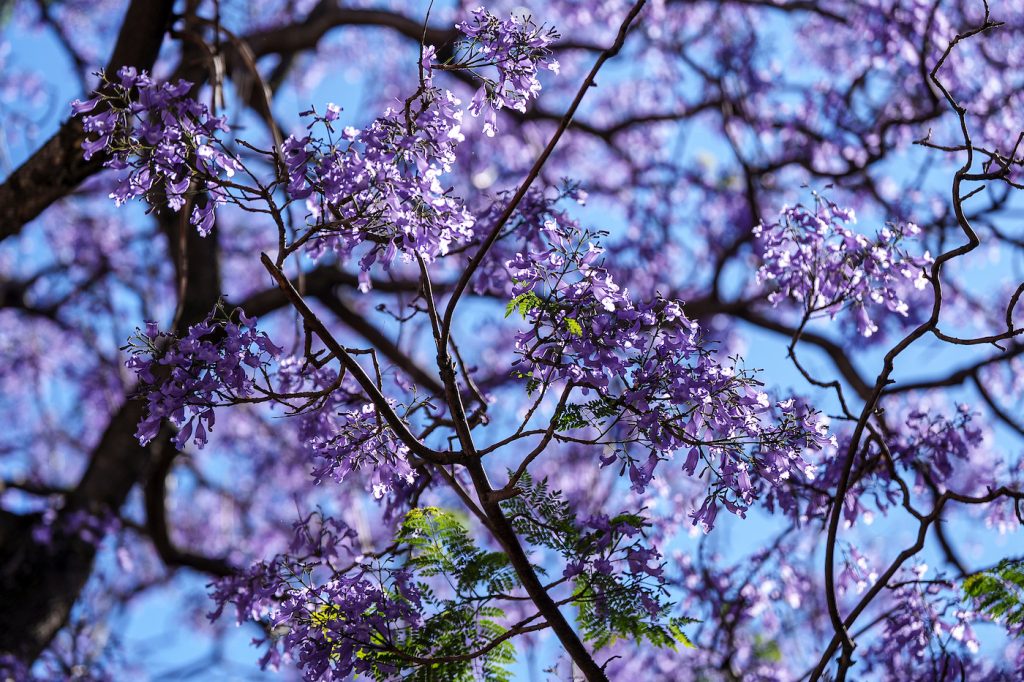 Pronóstico del tiempo de José María Rodríguez
