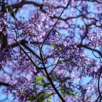 Pronóstico del tiempo de José María Rodríguez