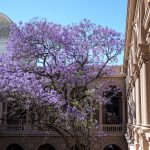 Pronóstico del tiempo de José María Rodríguez