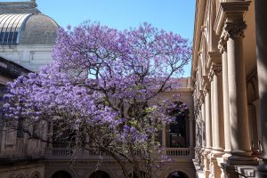 Pronóstico del tiempo de José María Rodríguez