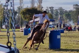 Campeonato Nacional de Rienda: mucha actividad este fin de semana en las Termas de Daymán