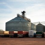 Suben los precios de los granos