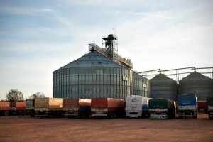 Suben los precios de los granos