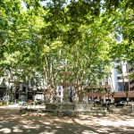 El objetivo de la IM para la Ciudad Vieja es preservar el valor patrimonial, dice prosecretario