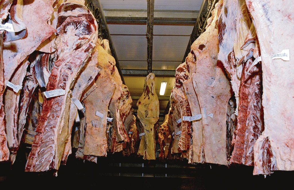 China audita plantas uruguayas para habilitar nuevos productos cárnicos