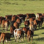 “El acuerdo EE.UU–Argentina deja a Uruguay en una posición incómoda”