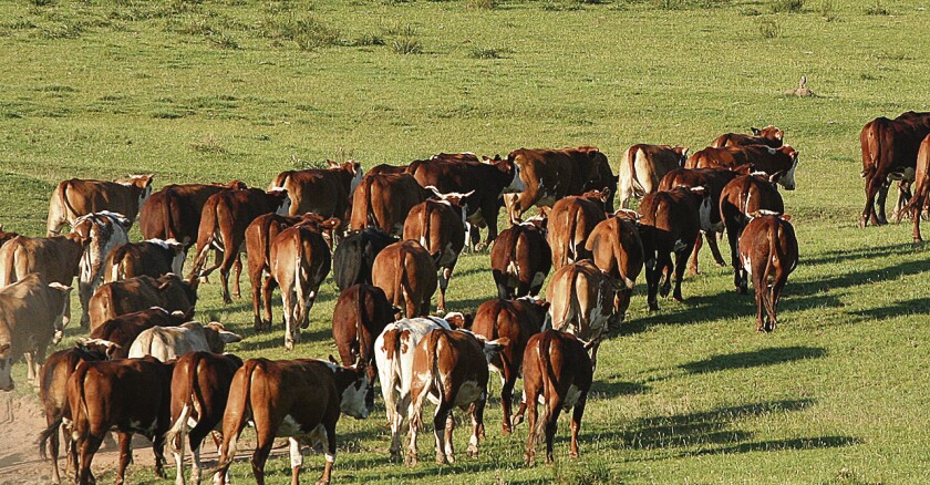 “El acuerdo EE.UU–Argentina deja a Uruguay en una posición incómoda”