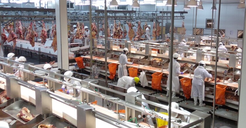 “Estados Unidos seguirá siendo un mercado clave para Uruguay en 2026”