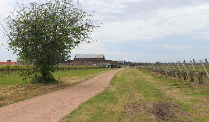 La Asociación Rural de San José denunció un violento copamiento y pide reforzar la seguridad en el medio rural