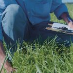 Pasture Genetics convoca a su Primera Jornada Anual de Pasturas