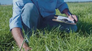 Pasture Genetics convoca a su Primera Jornada Anual de Pasturas