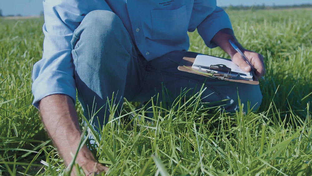 Pasture Genetics convoca a su Primera Jornada Anual de Pasturas
