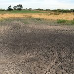 Aumenta preocupación por la sequía