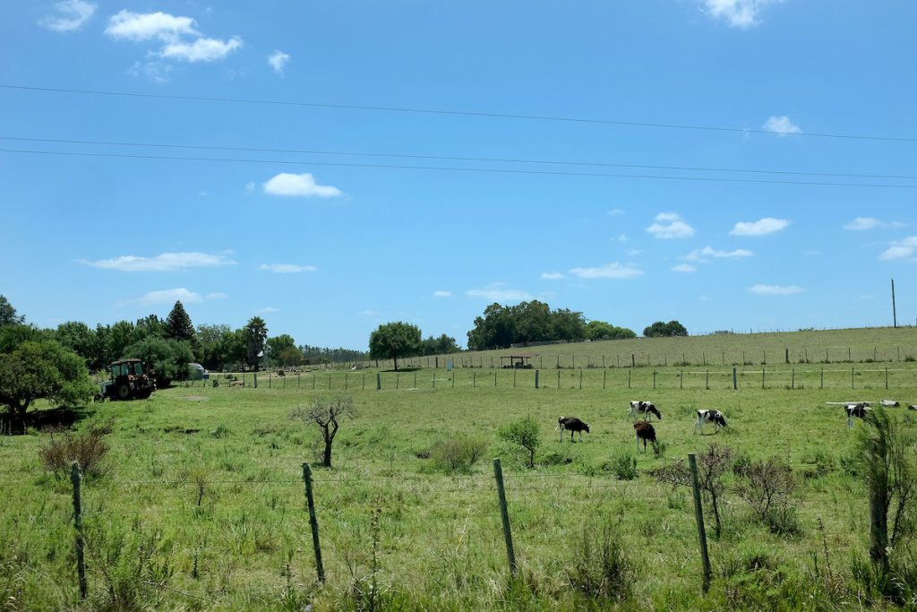 Crece la preocupación por la seguridad en áreas rurales