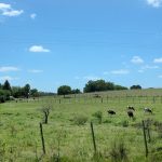 Crece la preocupación por la seguridad en áreas rurales