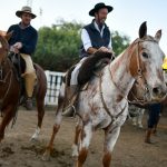 El INBA trabaja en una nueva reglamentación para las jineteadas: Será presentada en 2026, con sanciones y suspensiones para quienes incumplan las normas de bienestar animal