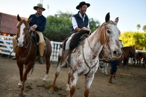El INBA trabaja en una nueva reglamentación para las jineteadas: Será presentada en 2026, con sanciones y suspensiones para quienes incumplan las normas de bienestar animal