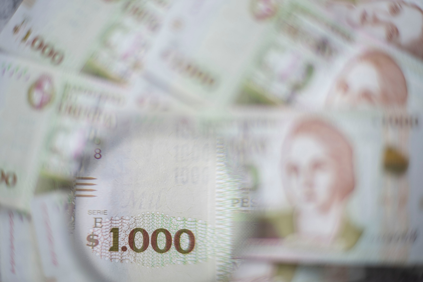 Crowder lanzó Tatú, el primer fideicomiso financiero en pesos para proteger el ahorro de la inflación