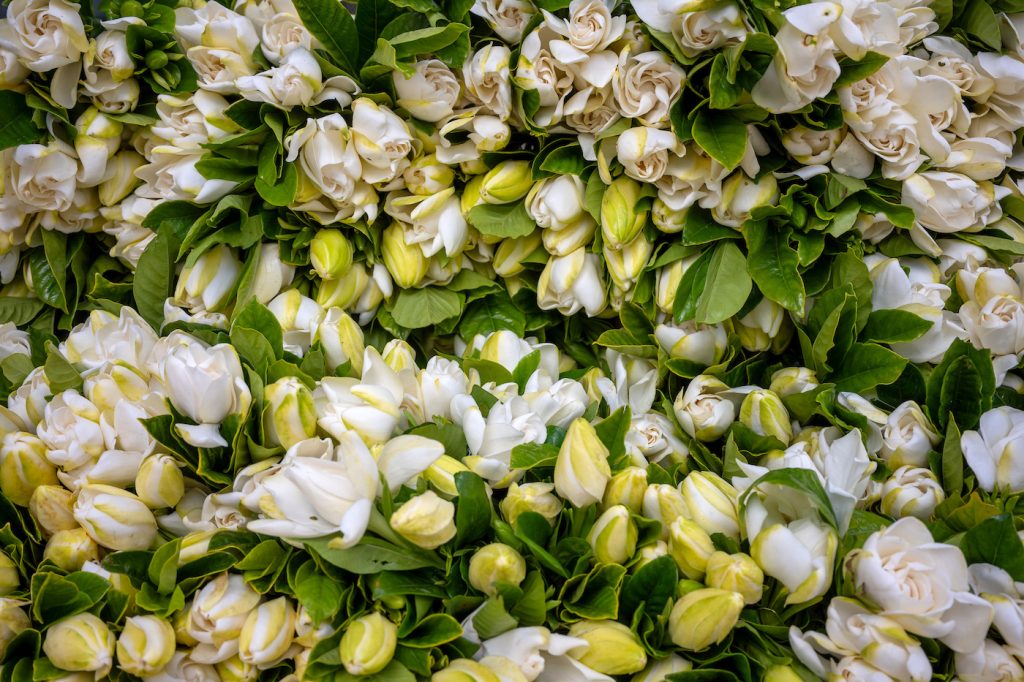 Pronóstico del tiempo de José María Rodríguez