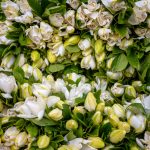 Pronóstico del tiempo de José María Rodríguez