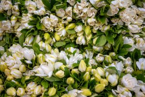 Pronóstico del tiempo de José María Rodríguez