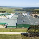 Lumin prevé retomar su producción en Tacuarembó en enero y avanza con su tercera planta