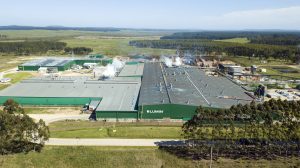 Lumin prevé retomar su producción en Tacuarembó en enero y avanza con su tercera planta