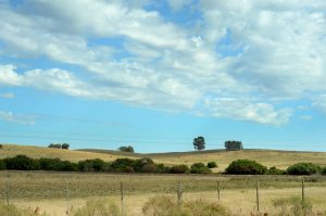 Las rentabilidades del campo según FUCREA