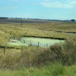 Costo de arrendamiento y rentabilidad de un campo en el norte del país