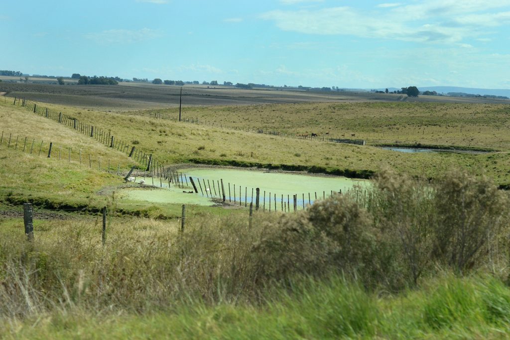 Costo de arrendamiento y rentabilidad de un campo en el norte del país