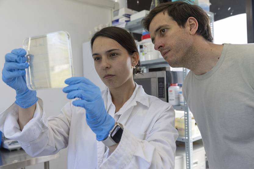 La revolución uruguaya contra las superbacterias: Kinzbio ya salva vidas con terapias personalizadas
