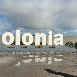 Cla Sienz cierra su planta en Zona Franca de Colonia y deja más de 80 trabajadores afectados