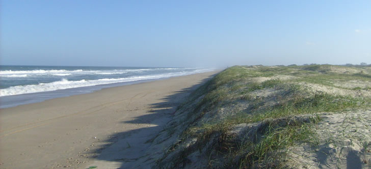 La Esmeralda celebrará su primera gran noche de temporada con un homenaje a la identidad rioplatense