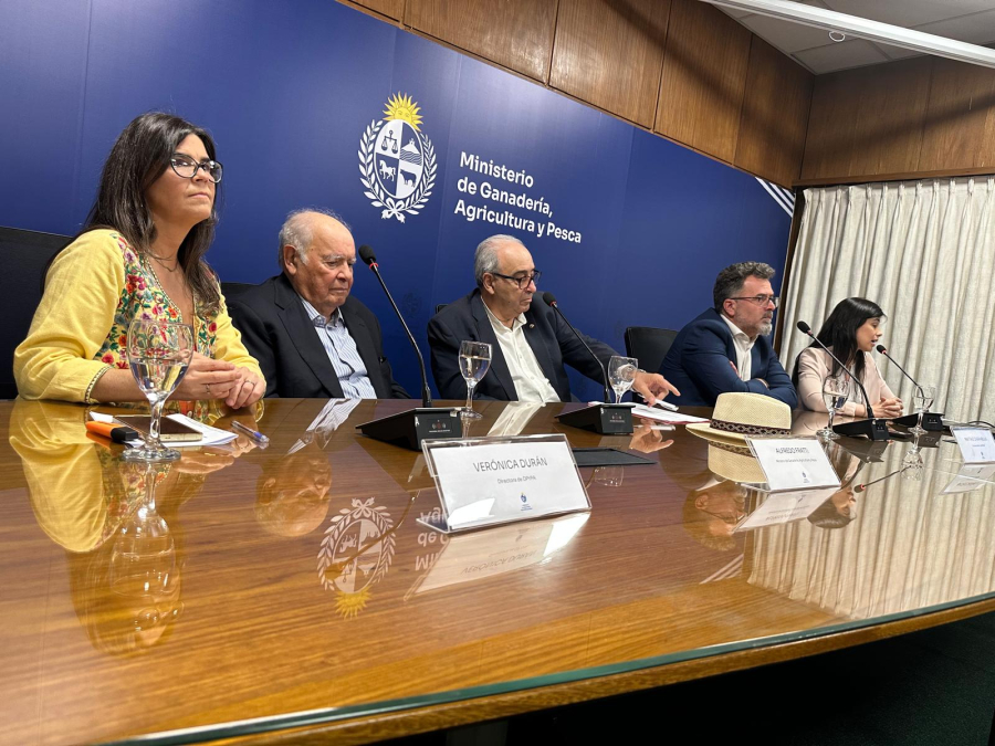 Opypa proyecta caída de casi 6% en el PBI sectorial en 2026