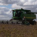 Lluvias mejoran estado de los cultivos