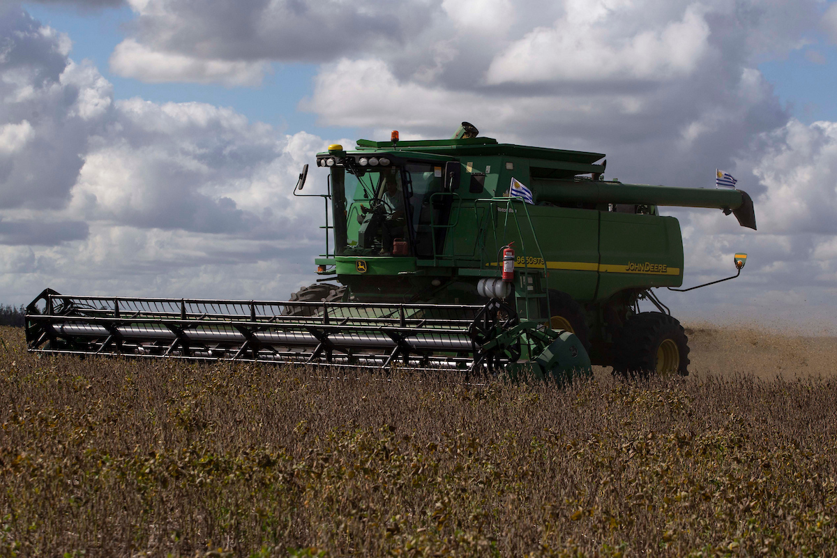 Lluvias mejoran estado de los cultivos
